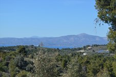 Property 22309 photo 7