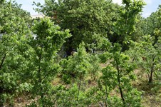 Property 22310 photo 1