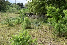 Property 22310 photo 3