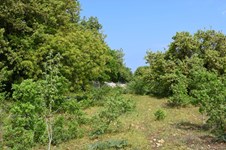 Property 22310 photo 2