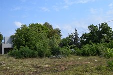 Property 22310 photo 7