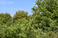 Property 22310 photo 6