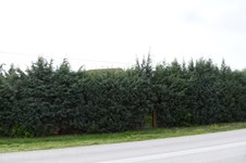 Property 22340 photo 26