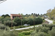 Property 22340 photo 5
