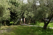 Property 22340 photo 24