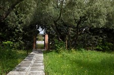 Property 22340 photo 23