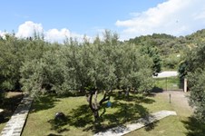 Property 22340 photo 25