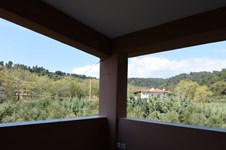 Property 22340 photo 13