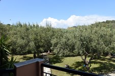 Property 22340 photo 21