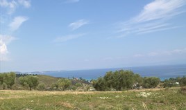 Парцел 5060 m² в Касандра (Халкидики)