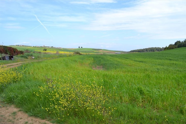 Realty photo 2