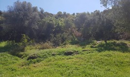 Land 1000 m² in Sithonia, Chalkidiki