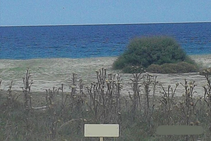 Realty photo 2