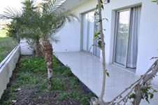Property 22416 photo 12