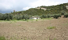 სასტუმრო 4700 m² კასანდრაზე (ქალკიდიკი)