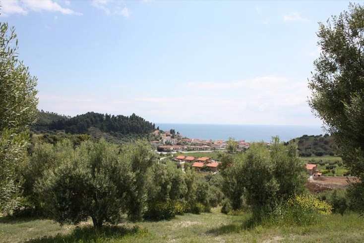 Realty photo 2