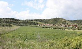 Land 30000 m² in Kassandra, Chalkidiki
