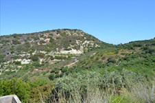 Property 22437 photo 5