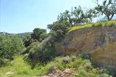 Property 22437 photo 2