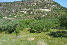 Property 22437 photo 9