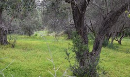 Земельна ділянка 35000 m² на Криті