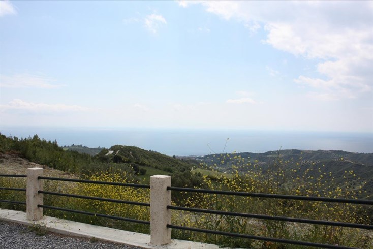 Realty photo 2