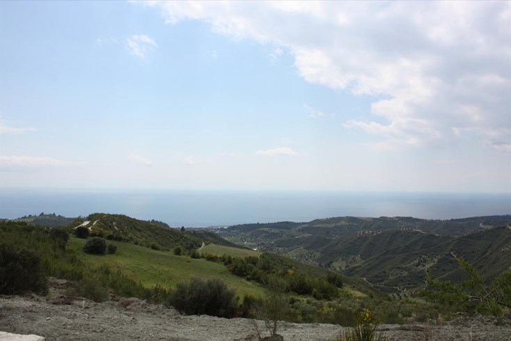 Realty photo 1