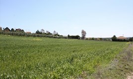 Земельна ділянка 4000 m² на Кассандрі (Халкідіки)