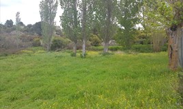 Парцел 1000 m² в Ситония (Халкидики)