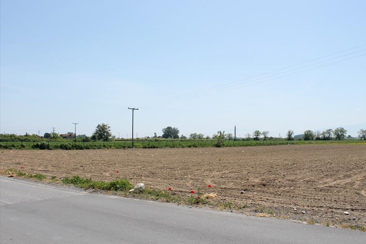 Realty photo 2