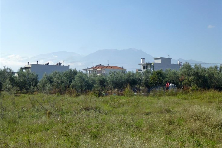 Realty photo 2