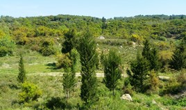 Land 9375 m² in Corfu