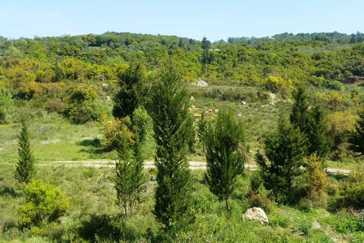 Realty photo 1