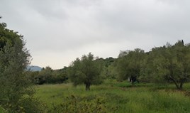 Land 2000 m² in Corfu