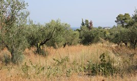 Land 4023 m² auf Sithonia (Chalkidiki)