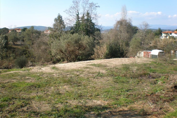 Realty photo 2