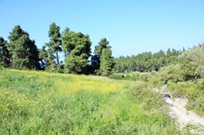 Property 22603 photo 4
