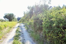Property 22603 photo 5