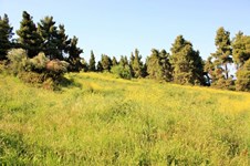 Property 22603 photo 6