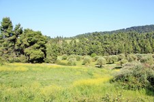 Property 22603 photo 7