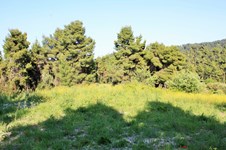 Property 22603 photo 9