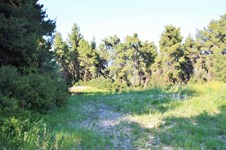 Property 22603 photo 10