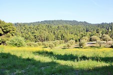 Property 22603 photo 2