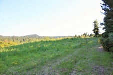 Property 22603 photo 11