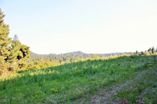 Property 22603 photo 12