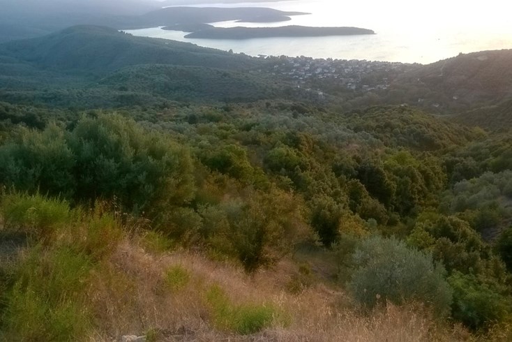 Realty photo 1