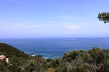 Property 22649 photo 3