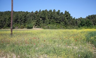 სასტუმრო 18000 m² კასანდრაზე (ქალკიდიკი)