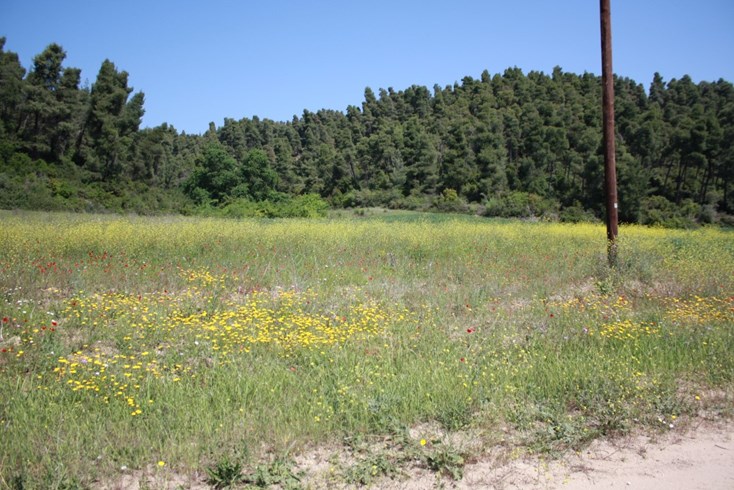 Realty photo 2
