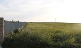 Terrain 13500 m² à Kassandra (Chalcidique)
